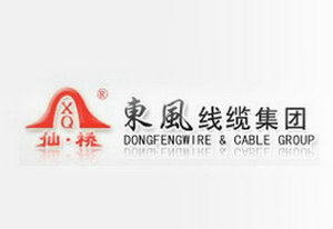 Dongfeng Cable